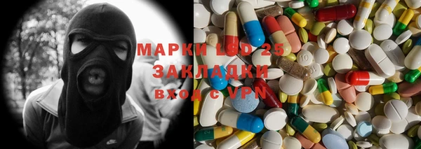 apvp Аркадак