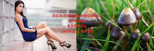 эйфоретик Армянск